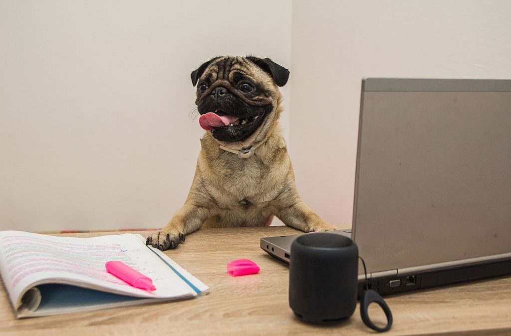 5 tips for good bid writing